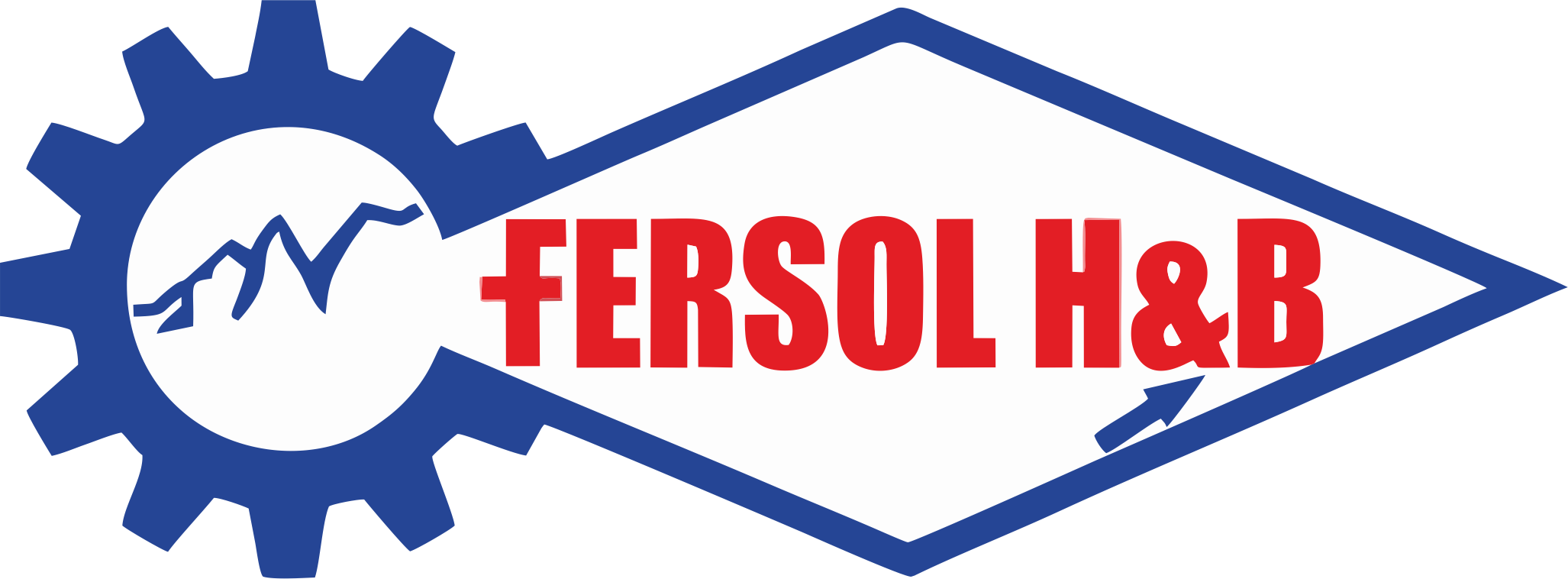 logo fersol